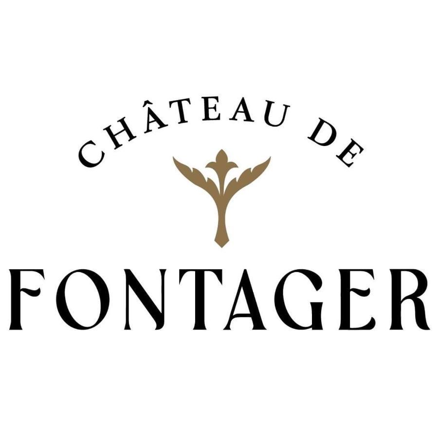 Chateau De Fontager Hotel Serves-sur-Rhône Buitenkant foto